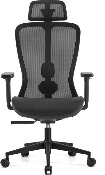 Изображение товара Кресло офисное Sparx Fansil Plus FX-22 (черный)