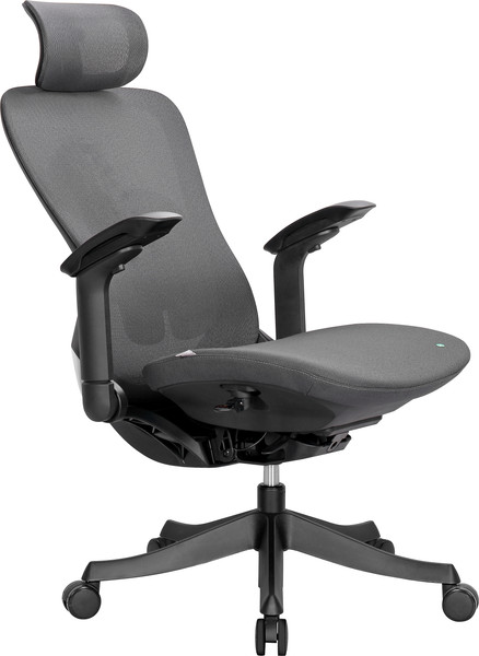 Изображение товара Кресло офисное Sparx Enigma FT-4 (черный)