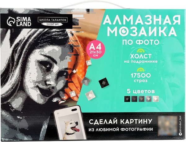 Изображение товара Набор алмазной вышивки Школа талантов Gray / 10699405