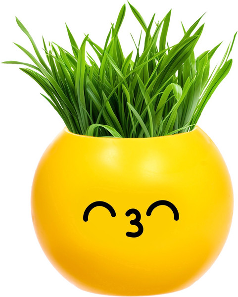 Изображение товара Набор для выращивания растений Эврики Поцелуйчик / 10588749