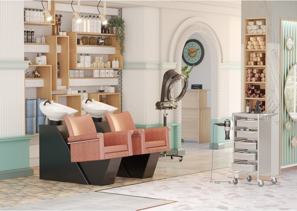 Изображение товара Мойка парикмахерская с креслом Элеганс Лесли