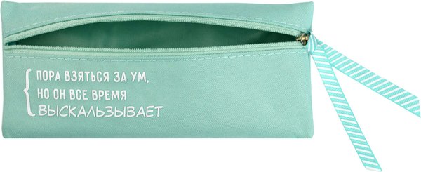 Изображение товара Пенал Феникс+ Цитата дня / 68959 (салатовый)