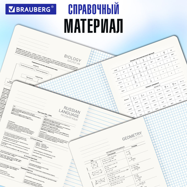 Изображение товара Набор предметных тетрадей Brauberg 404610 (12шт)