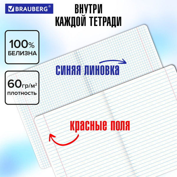 Изображение товара Набор предметных тетрадей Brauberg 404610 (12шт)
