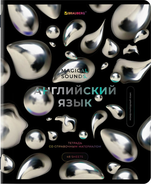Изображение товара Набор предметных тетрадей Brauberg 404610 (12шт)