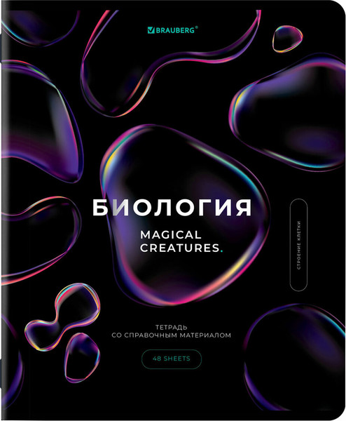Изображение товара Набор предметных тетрадей Brauberg 404610 (12шт)
