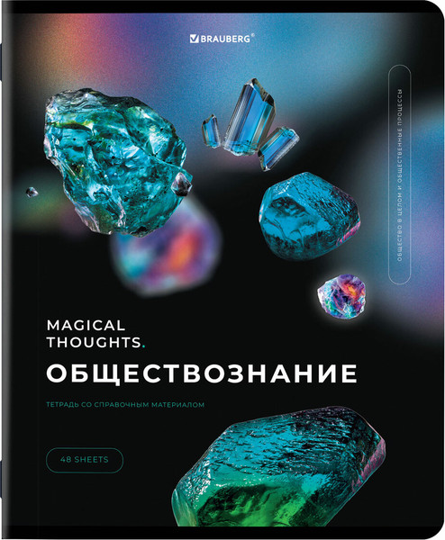 Изображение товара Набор предметных тетрадей Brauberg 404610 (12шт)