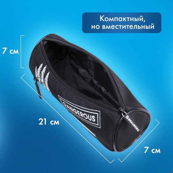 Изображение товара Пенал Brauberg Claws / 272307