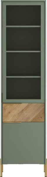 Изображение товара Шкаф-пенал с витриной Black Red White Siena REG1W1D1S (дымчатый зеленый/дуб вотан)