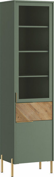 Изображение товара Шкаф-пенал с витриной Black Red White Siena REG1W1D1S (дымчатый зеленый/дуб вотан)