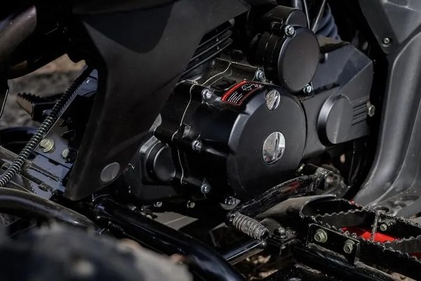 Изображение товара Квадроцикл Motoland Rally 250 / pm675977163