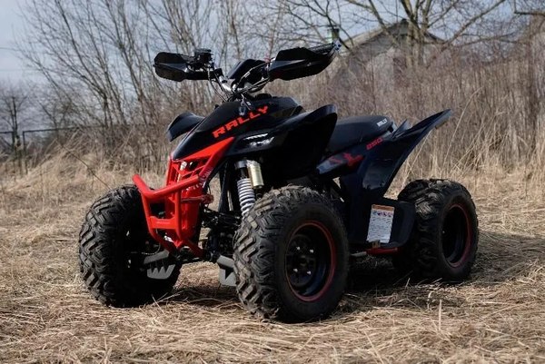 Изображение товара Квадроцикл Motoland Rally 250 / pm675977163