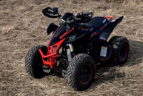 Изображение товара Квадроцикл Motoland Rally 250 / pm675977163