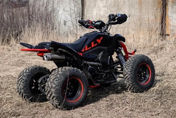Изображение товара Квадроцикл Motoland Rally 250 / pm675977163