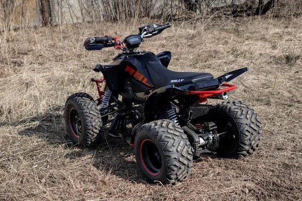 Изображение товара Квадроцикл Motoland Rally 250 / pm675977163