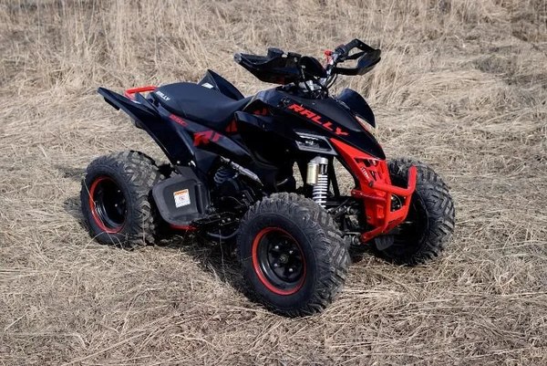 Изображение товара Квадроцикл Motoland Rally 250 / pm675977163