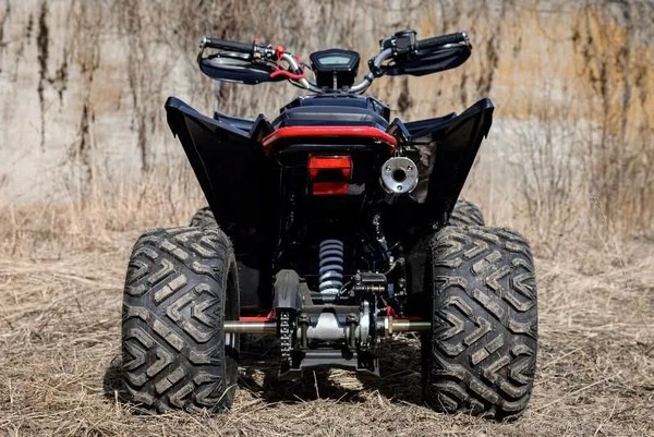 Изображение товара Квадроцикл Motoland Rally 250 / pm675977163