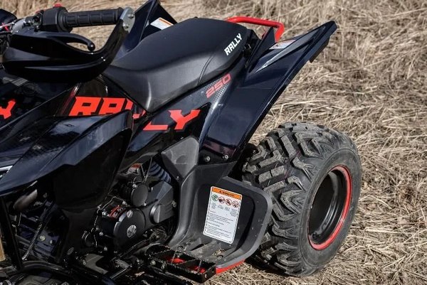 Изображение товара Квадроцикл Motoland Rally 250 / pm675977163
