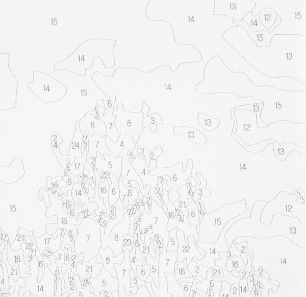 Изображение товара Картина по номерам Остров Сокровищ Проточная река / 663285