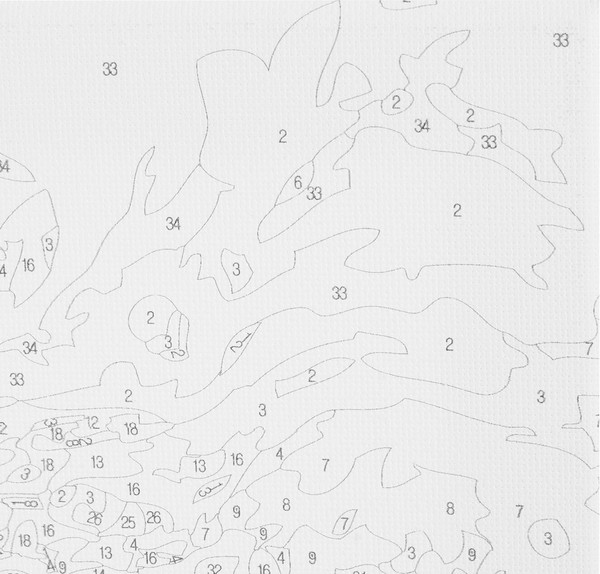 Изображение товара Картина по номерам Остров Сокровищ Весна / 663287