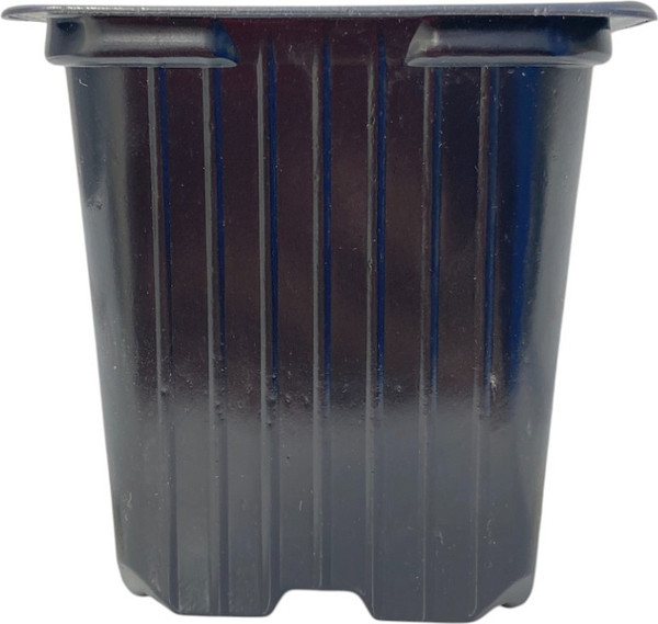 Изображение товара Набор горшков для рассады OZ-KA Vakum 7x7x7см (100шт)