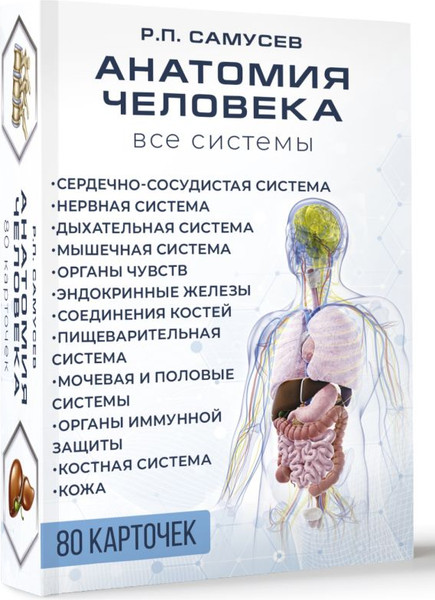 Изображение товара Набор карточек АСТ Анатомия человека. 80 карточек. Все системы, твердая обложка (Самусев Рудольф)