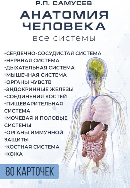 Изображение товара Набор карточек АСТ Анатомия человека. 80 карточек. Все системы, твердая обложка (Самусев Рудольф)