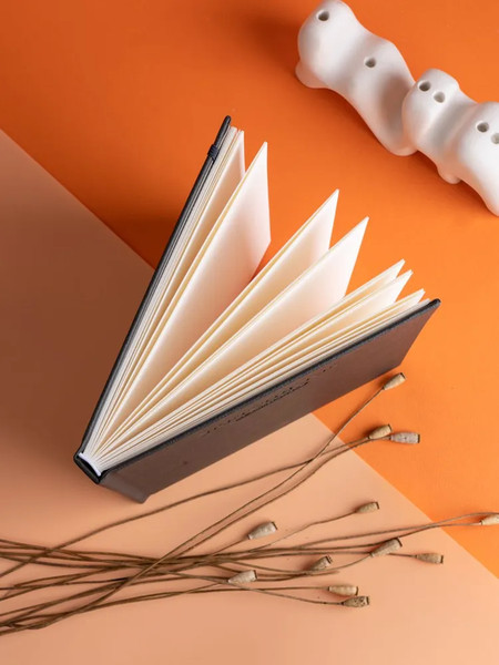 Изображение товара Скетчбук Малевичъ Veroneze / 401559 (40л, серый)