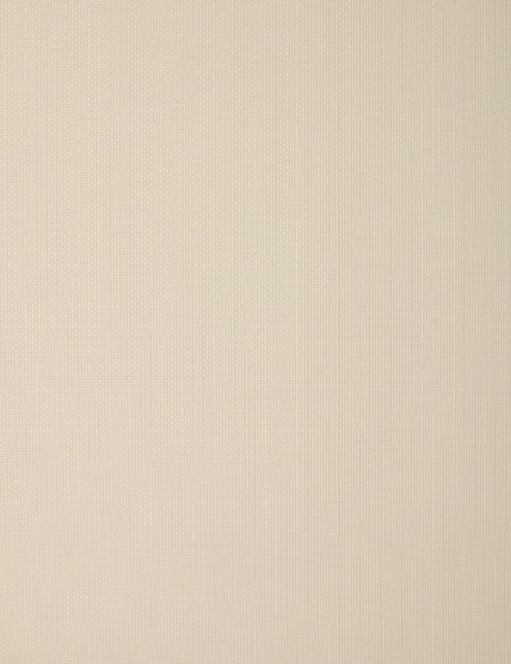 Изображение товара Рулонная штора Delfa Сантайм Роял СРШ-03Д 2813 (160x170, кремовый)