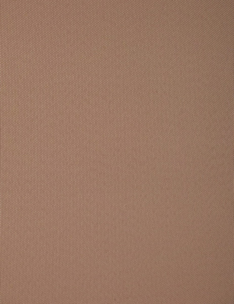 Изображение товара Рулонная штора Delfa Сантайм Роял СРШ-03Д 2880 (130x170, какао)