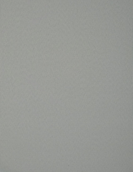 Изображение товара Рулонная штора Delfa Сантайм Роял СРШ-03Д 2816 (120x170, серый)