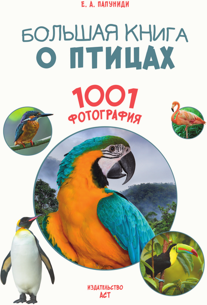Изображение товара Энциклопедия АСТ Большая книга о птицах. 1001 фотография, твердая обложка (Папуниди Елена)