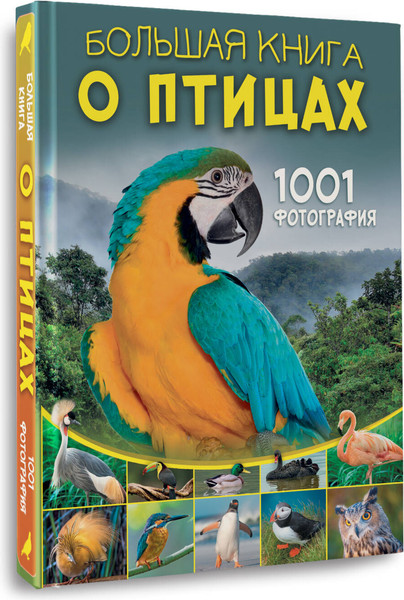 Изображение товара Энциклопедия АСТ Большая книга о птицах. 1001 фотография, твердая обложка (Папуниди Елена)