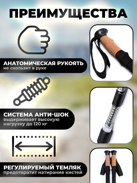 Изображение товара Палки для скандинавской ходьбы Classmark 2023072910020 / 1935798
