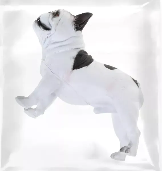 Изображение товара Фигурка игровая Наша игрушка Собака / 200722177