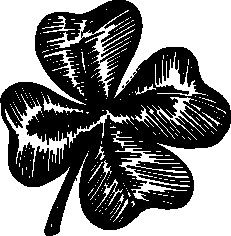 Изображение товара Книга Черным-бело Тимьян и Клевер, твердая обложка (Ролдугина Софья)