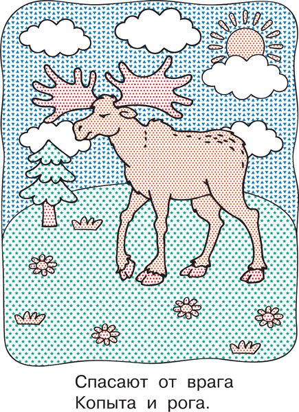 Изображение товара Раскраска АСТ В лесу, мягкая обложка (Двинина Людмила)