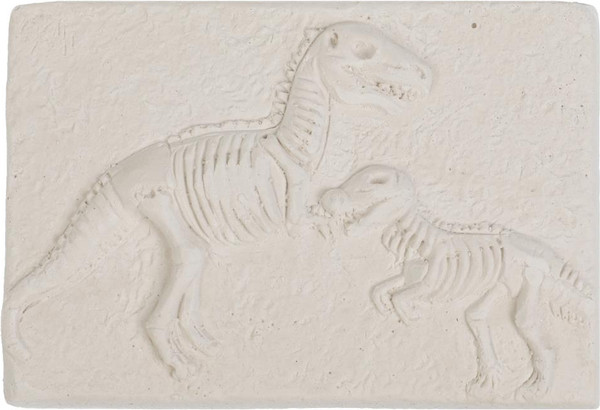 Изображение товара Набор для опытов IQ Эксперимент Набор раскопки 2 скелета динозавров / 1901K092-4-RU