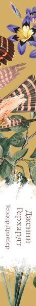 Изображение товара Книга Эксмо Дженни Герхардт, твердая обложка (Драйзер Теодор)