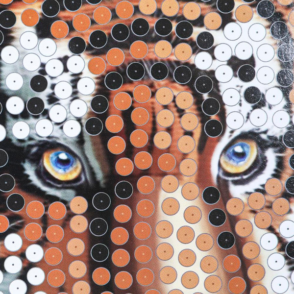 Изображение товара Набор для творчества MultiArt Тигр / SEQPIC-TIGER-110694