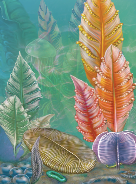 Изображение товара Энциклопедия АСТ Гигантская энциклопедия в картинках, твердая обложка (Ликсо Вячеслав, Медведев Д., Спектор Анна)