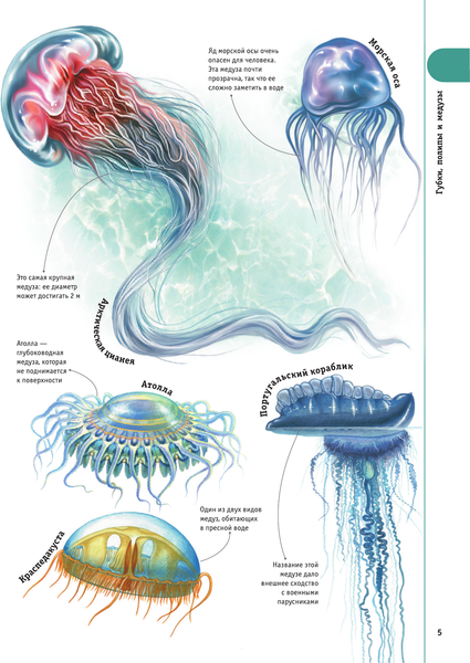Изображение товара Энциклопедия АСТ Гигантская энциклопедия в картинках, твердая обложка (Ликсо Вячеслав, Медведев Д., Спектор Анна)