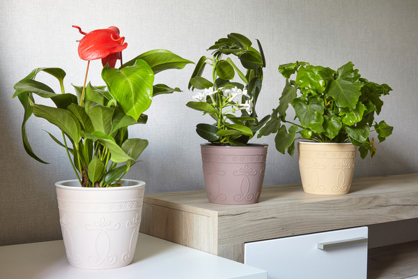 Изображение товара Кашпо La Decoro Ажур КШ-7967 (белый/белый)