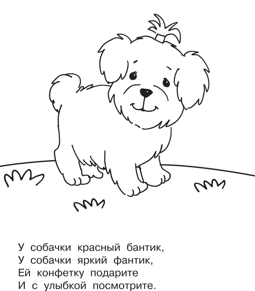 Изображение товара Раскраска АСТ Домашние животные, мягкая обложка (Гайдель Екатерина)