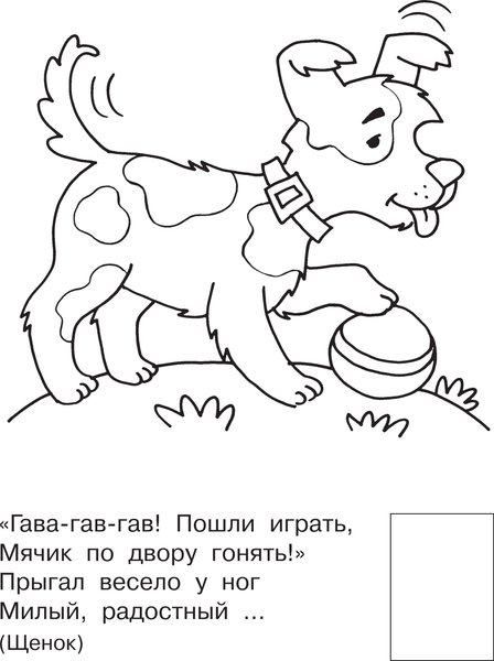 Изображение товара Раскраска АСТ Домашние животные, мягкая обложка (Гайдель Екатерина)