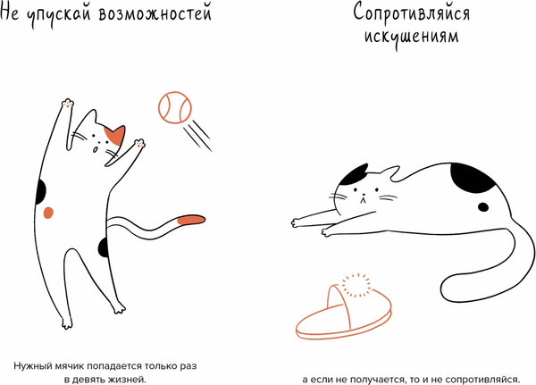 Изображение товара Книга КоЛибри Кот всему голова, твердая обложка (Баваньоли Джанлука)