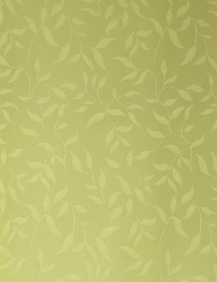 Изображение товара Рулонная штора Delfa Сантайм Жаккард Оливия СРШ-03Д 8257 (130x170, салатовый)