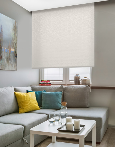 Изображение товара Рулонная штора Delfa Сантайм Альба СРШ-03Д 8282 (120x170, серый)