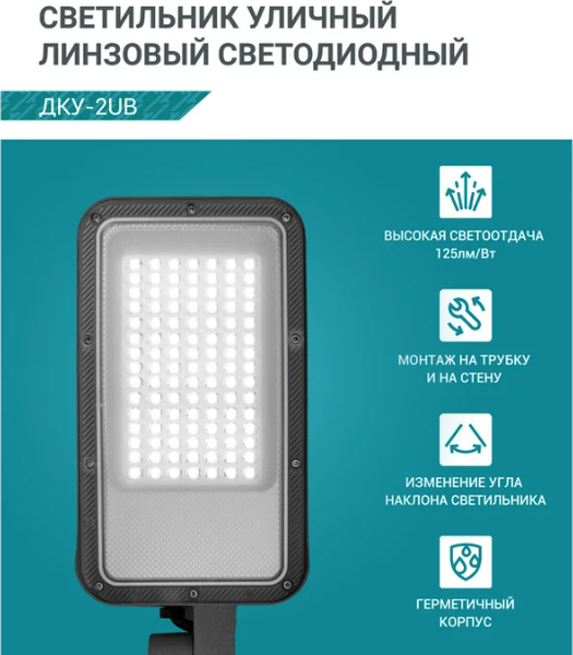 Изображение товара Светильник уличный Neox ДКУ-2UB / 4690612057415