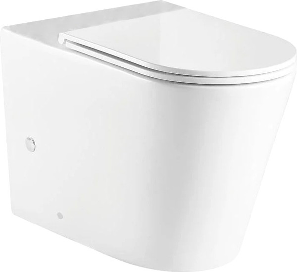 Изображение товара Чаша унитаза напольного WeltWasser WW Salzbach 001 XL GL-WT (белый глянец, чаша)